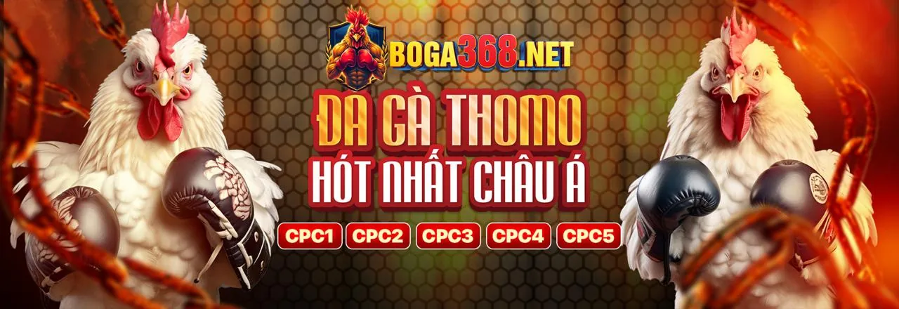 Đá gà trực tuyến 13win21 chính thức